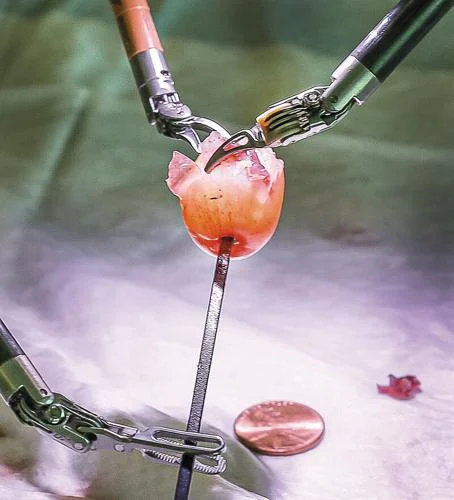 A robot performing surgery on a grape's skin
